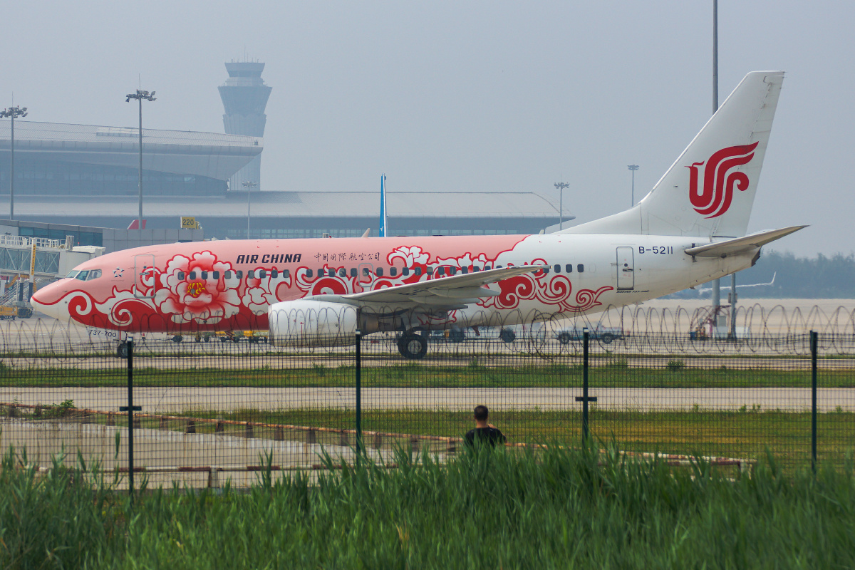 中国国际航空公司波音737牡丹彩绘