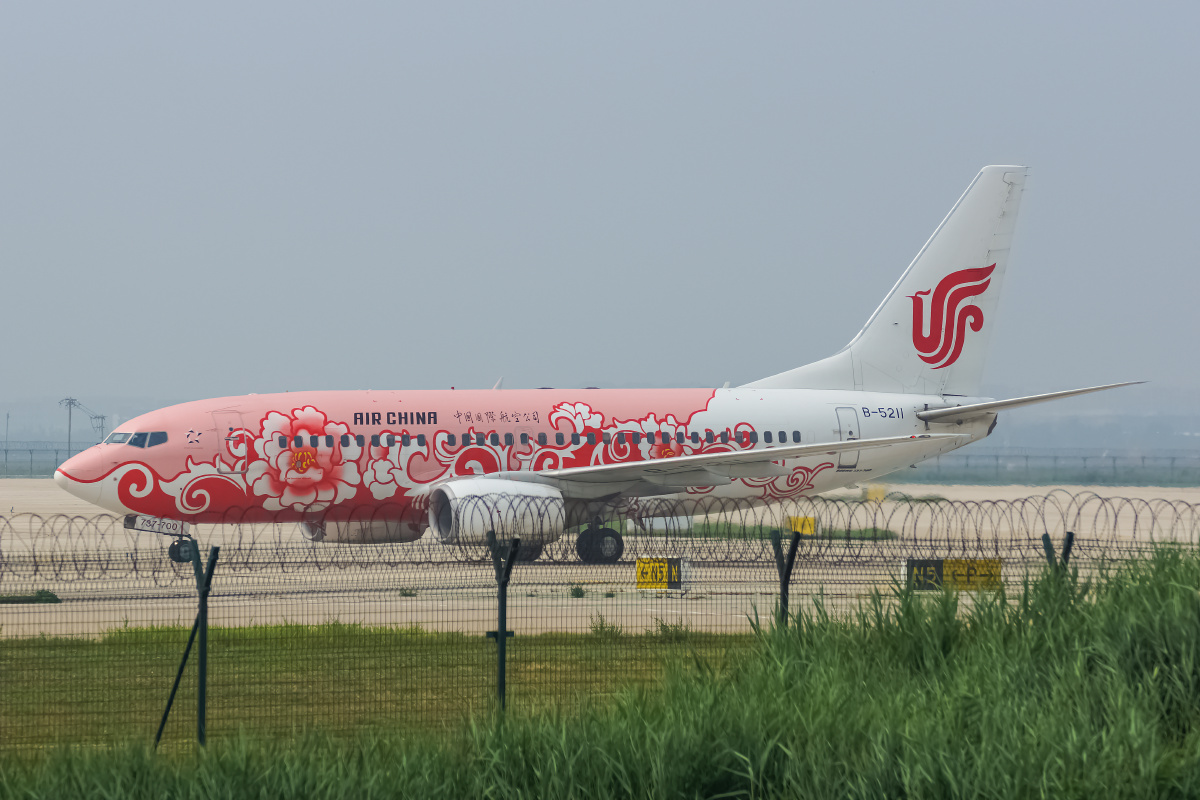 中国国际航空公司波音737牡丹彩绘