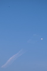 57EF9B09-69D1-40FA-8641-5EA5556544FF/L0/001