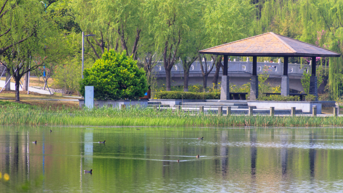 苏州阳澄湖半岛莲池湖公园