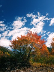 Picture 377468120