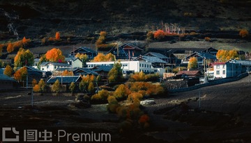 PA210490-2