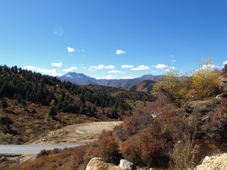 Picture 426185872