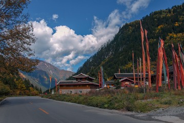 Picture 374990216