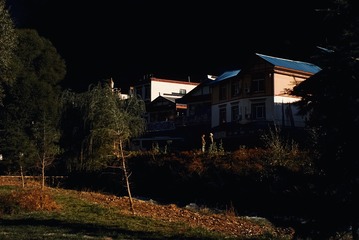 Picture 376329992