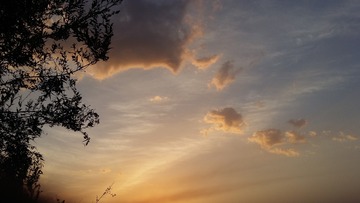 15719