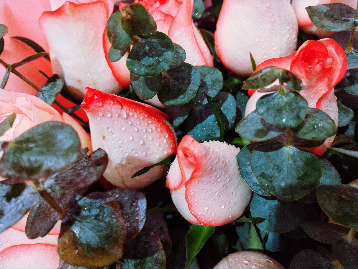 2021鲜花送给自己