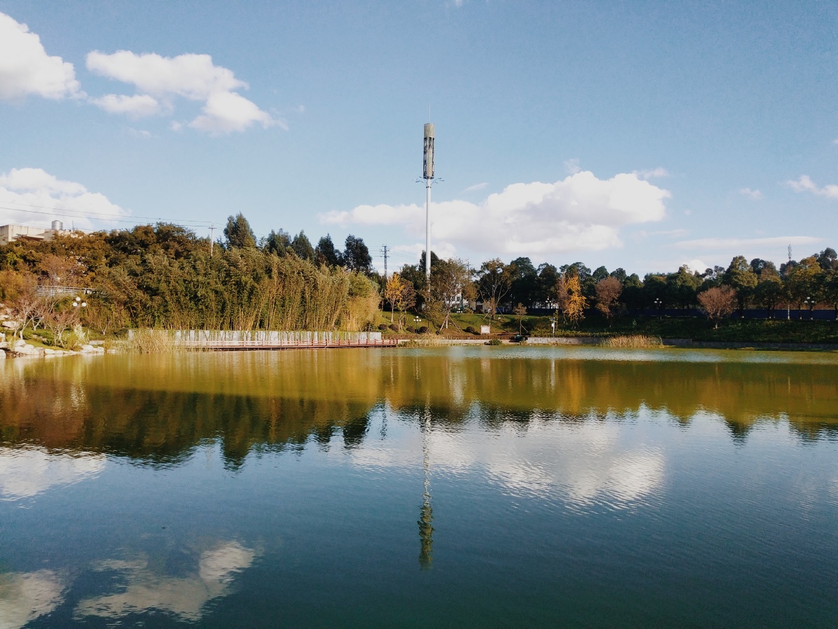 西南林业大学老早之前就拍的