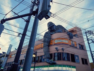 P1422249