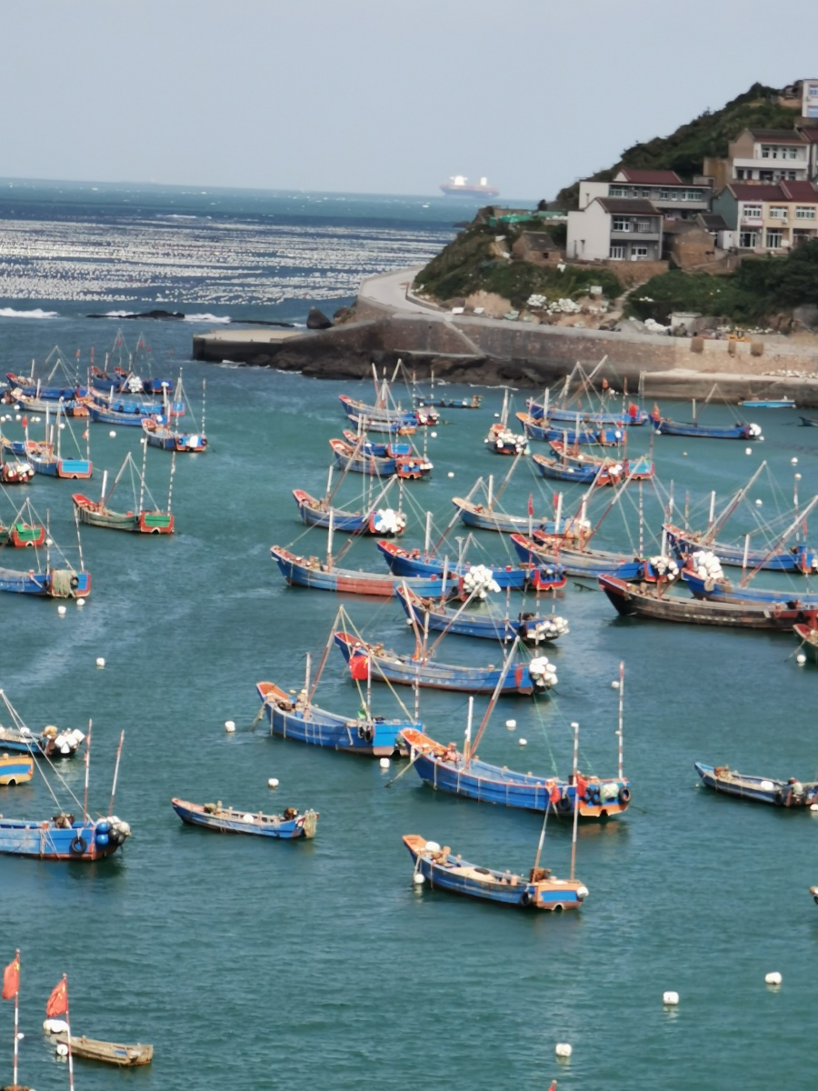 拍摄于2020,10月份,在枸杞岛,壮观的海上牧场!