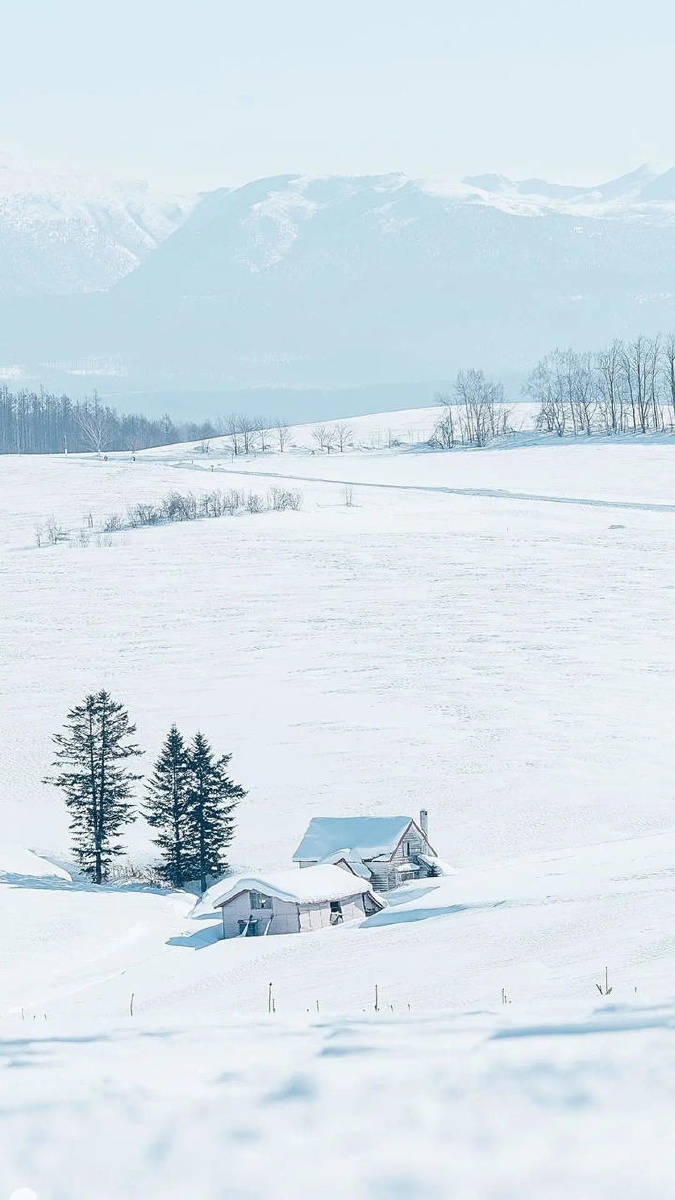 675_1200竖版 竖屏