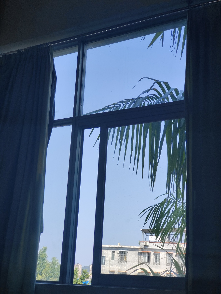 窗外的风景可爱又迷人