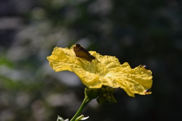 1230641