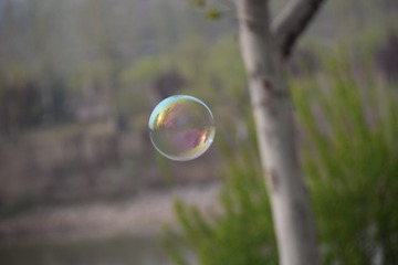 1303350