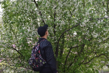 1303352
