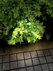 207BD0F0-E27A-49AE-862B-4610E42024F5/L0/001