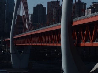 1000153524