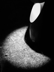 8E113AAA-1B82-48BD-88A9-1376CA7172F0/L0/001