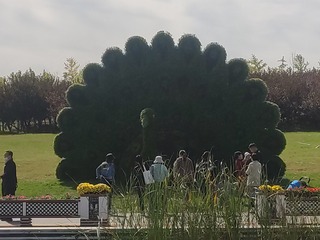 656641