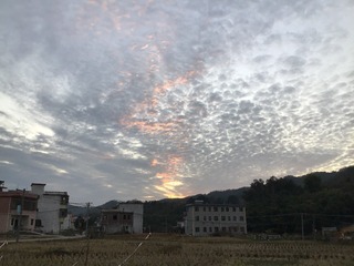 13DAC60F-60C3-4A95-9D27-B492C1B68342/L0/001