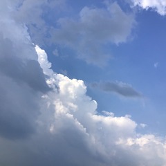 F9941C78-15B3-46F9-96C0-8458B106F2BB/L0/001