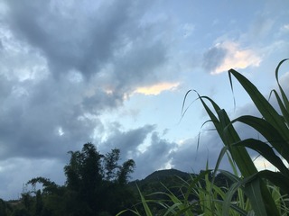 8A3EA775-E5E9-49B1-B254-EA891F52E9FF/L0/001