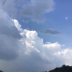 576832ED-2800-4C19-9B02-F83FCD25CEC2/L0/001