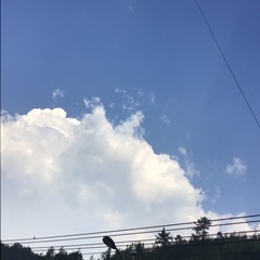 D23830A3-35E8-4B41-B97B-0F17DB00BCF8/L0/001