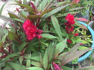 C65E5F60-298B-4FFB-89B9-880BC85A8E83/L0/001