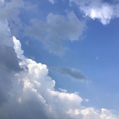 CB840A5F-2A34-495F-AD9E-CC30C742DFF3/L0/001