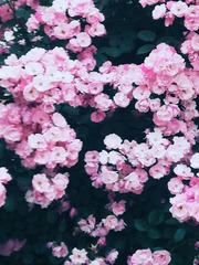 974D5793-C3C5-4774-A27A-7AE466D9B803/L0/001