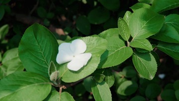 3571A9C4-26F0-4C0B-9EC4-5AA3397E5BAF/L0/001