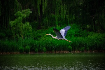 562355EE-FBFC-40D5-8AB5-5379B1CCA67E/L0/001