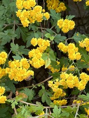 A44C30D1-D491-47EA-8F89-54C737152632/L0/001