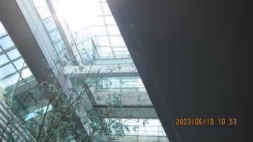 8E6609D9-B513-491E-AAB3-8D2CCB8D52B7/L0/001