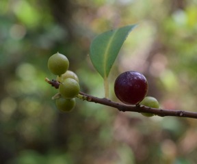 08