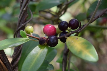 07