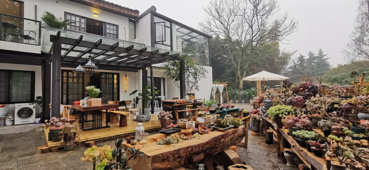 闫老师的小院的前后对比图