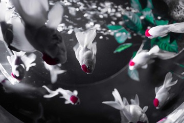 001