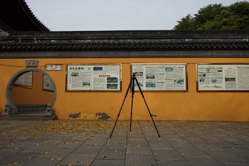 225156