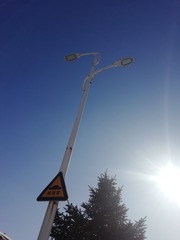 2981044