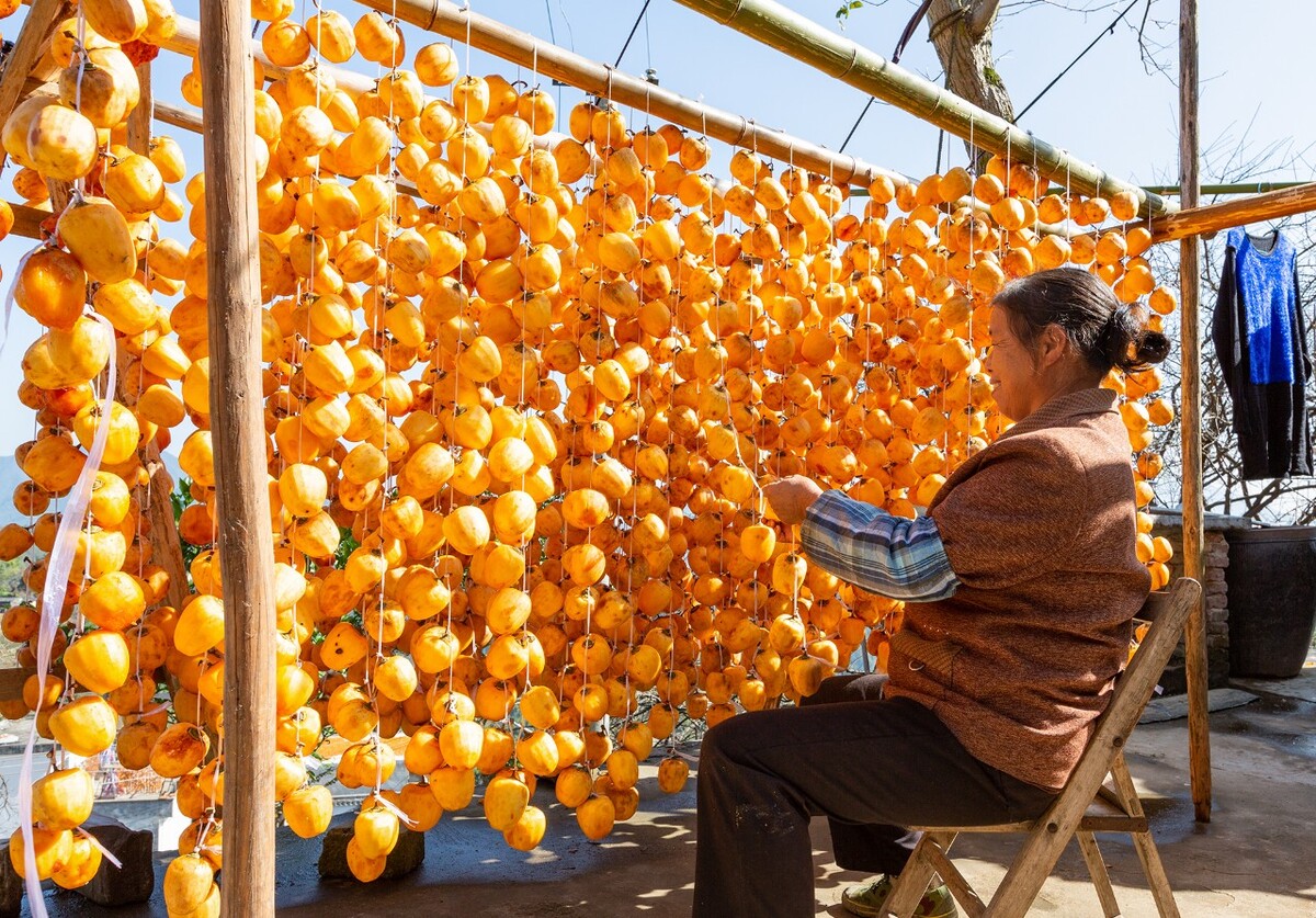 脐橙市场