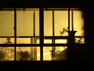 2E183087-F669-47DD-BD04-C4350162802B/L0/001