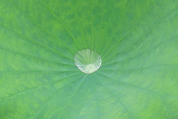 987767