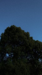 E35C84BC-915B-4F58-897A-1B2D532EDDC7/L0/001