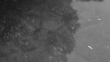 D377734B-469B-431F-8744-A208D052CB74/L0/001