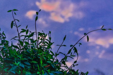 _CPF9258