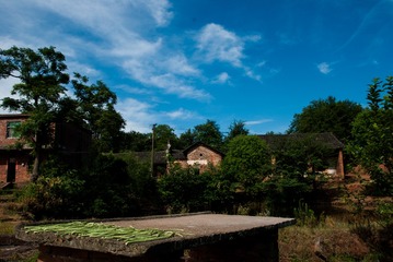 _DSC0557