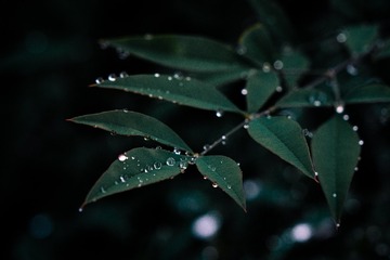 28083