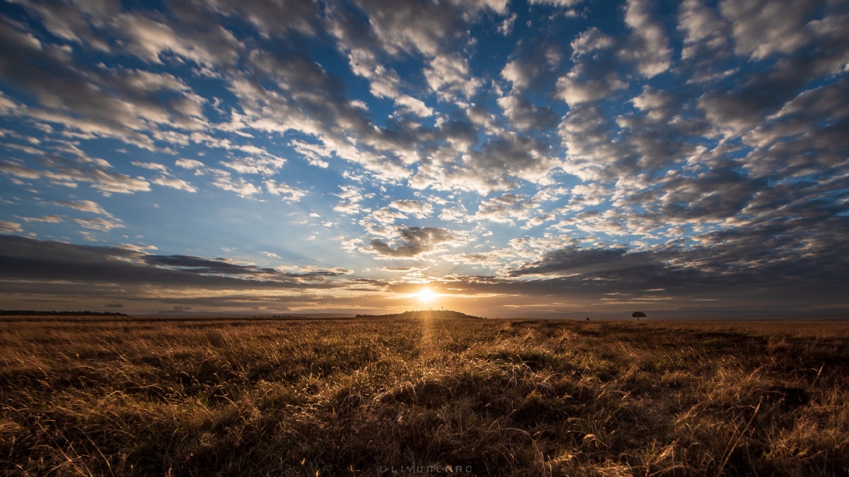 非洲大草原上的日出